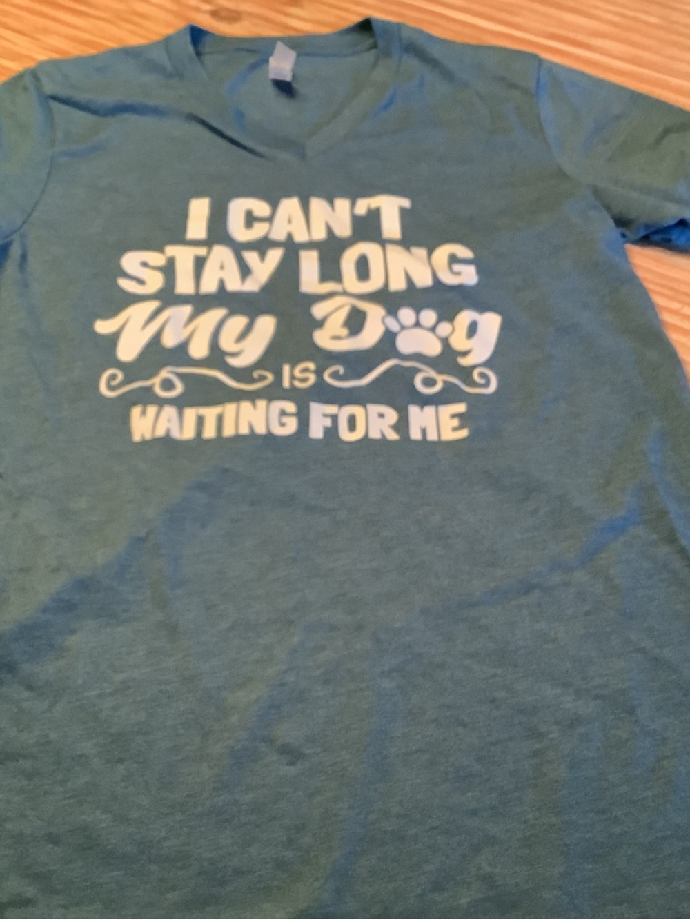 I Can't Stay Long My Dog Is Waiting For Me Graphic Tee - Teal